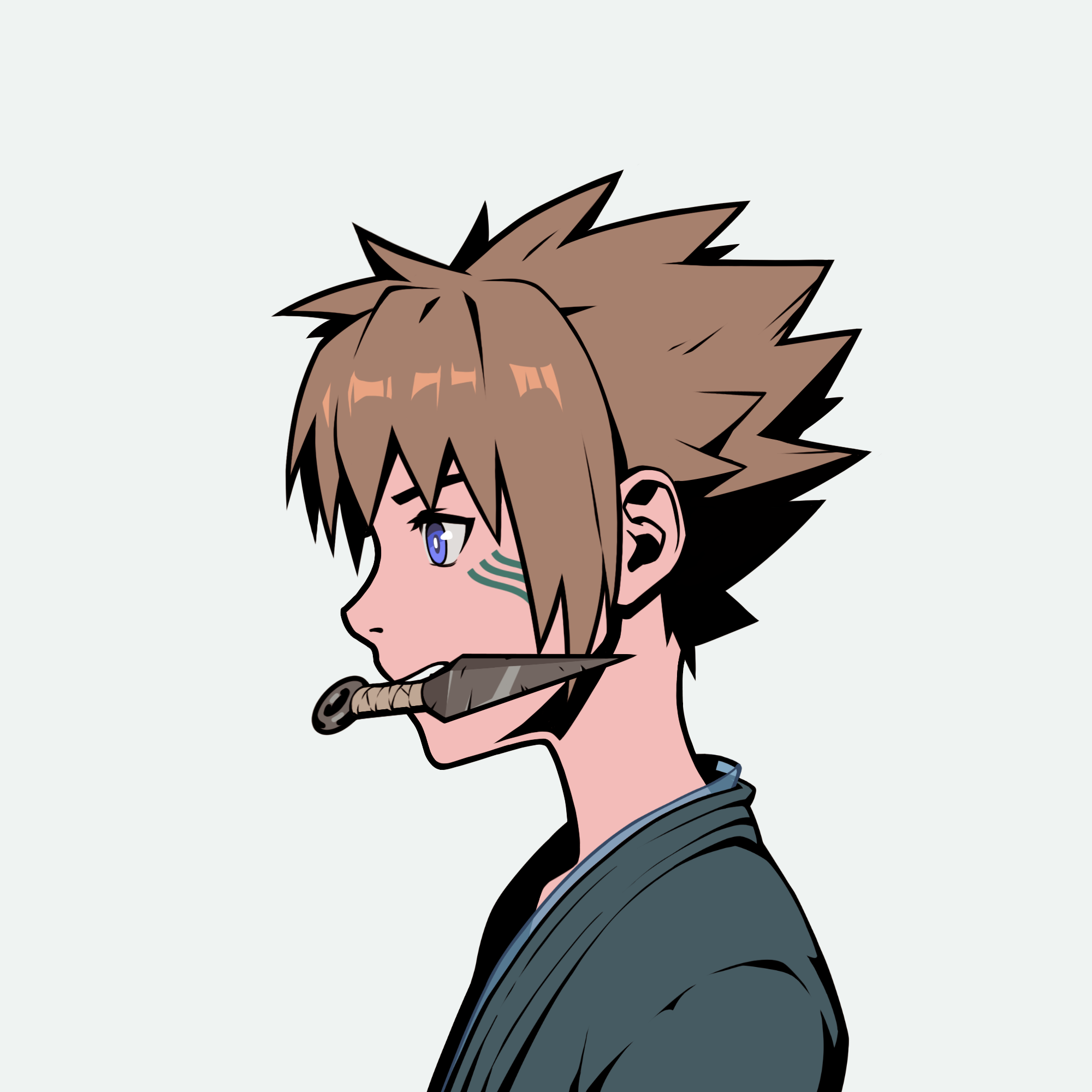 Collector Profile