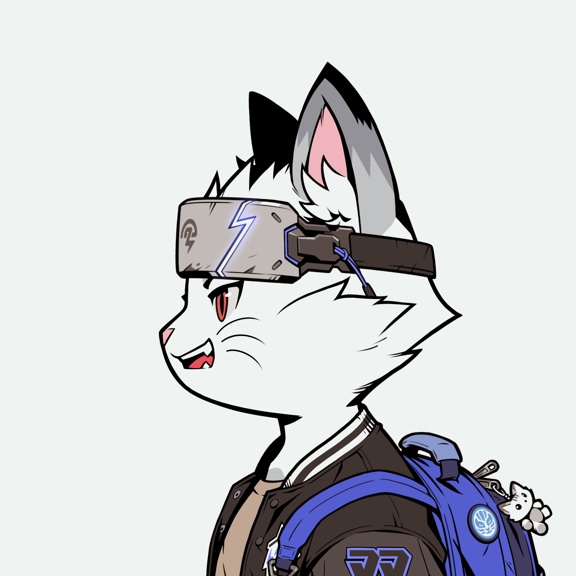 Collector Profile