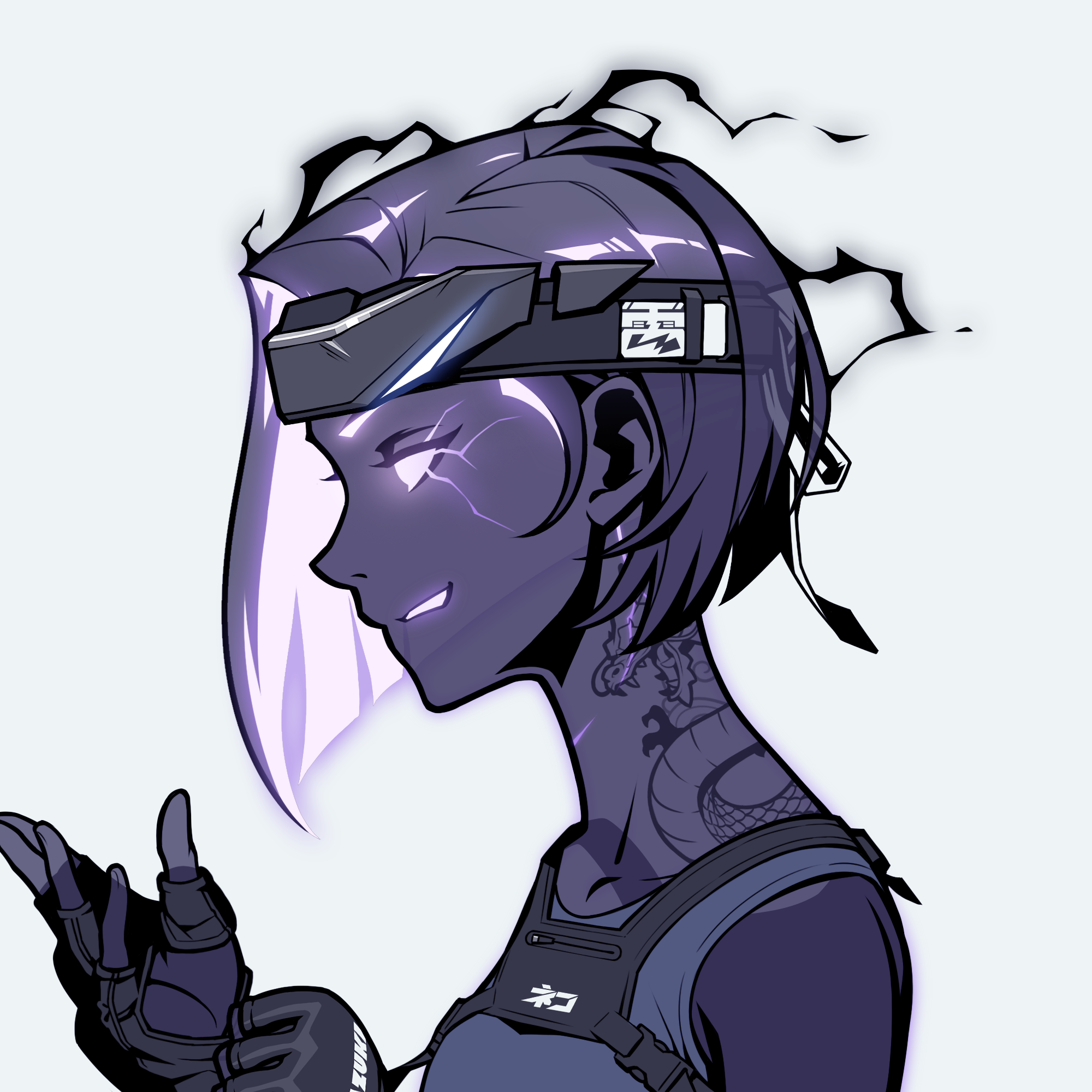 Collector Profile